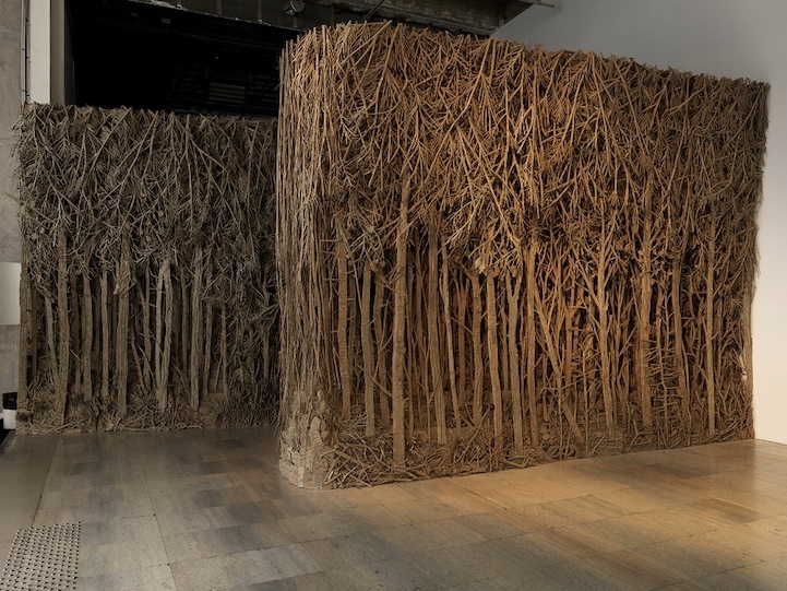 Eva Jospin&#039;s Enchanting Forests Crafted Out of Cardboard