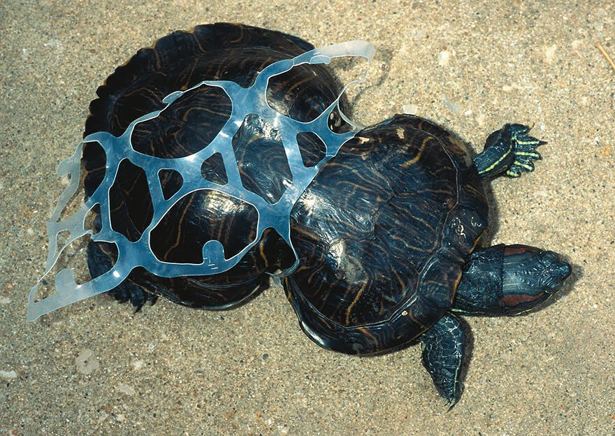 30 Heartbreaking Photos Of Pollution 