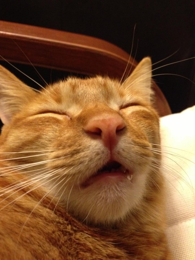 21 Faces All Non-Morning People Will Recognize