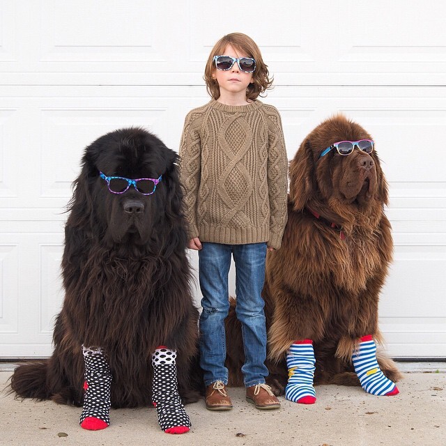 Mom Documents The Friendship Between A Boy And His Pets