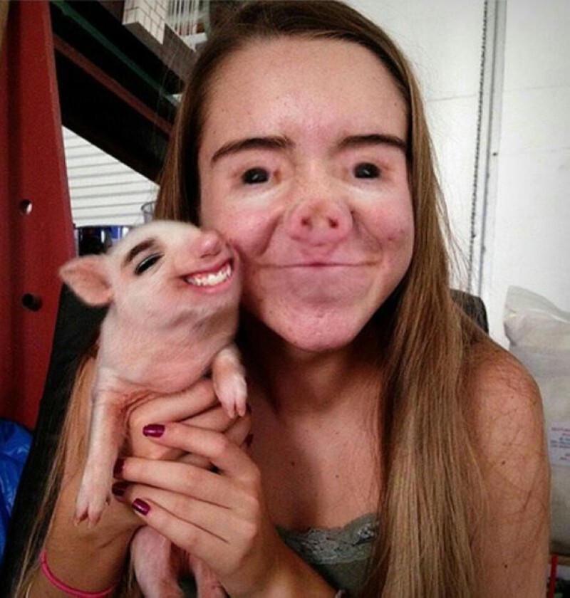 The 16 Most WTF Animal Face Swaps