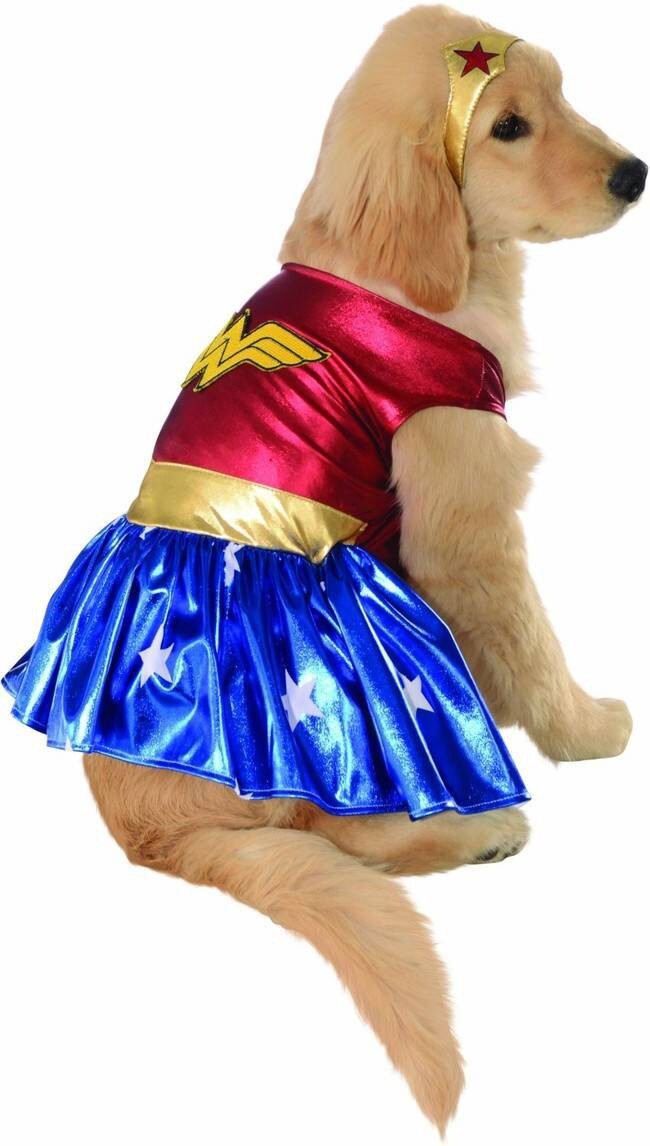 15 Costumes That Will Make You Want To Dress Up Your Dog