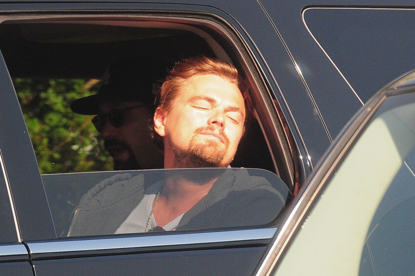 17 Times Leonardo DiCaprio Out-Leo DiCaprio’d Himself