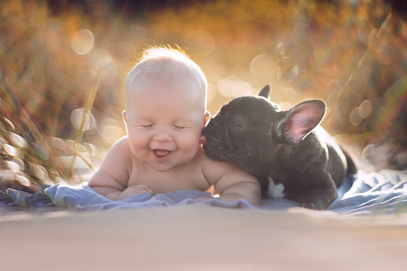 Baby &amp; Bulldog Born On Same Day Think They’re Brothers And Do Everything Together