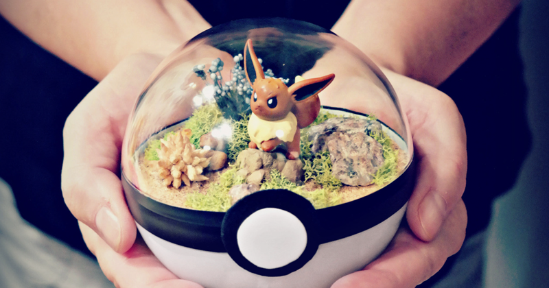 Pokeball Terrariums Are A Thing Now But The Demand Is So Big It’s Hard To ‘Catch’ Them