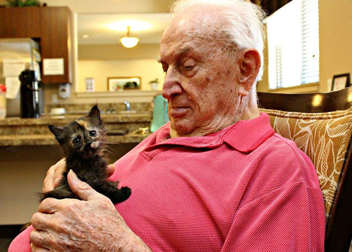 Animal Shelter Partners With Elderly Care Facility To Save Both Orphaned Kittens And Elders