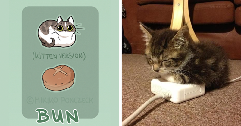 Artist Proves Cats Are More Bread Than You’d Think