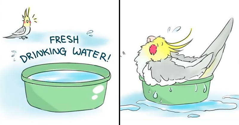 Artist Draws Comics About Her Pet Bird And They’re Too Positive