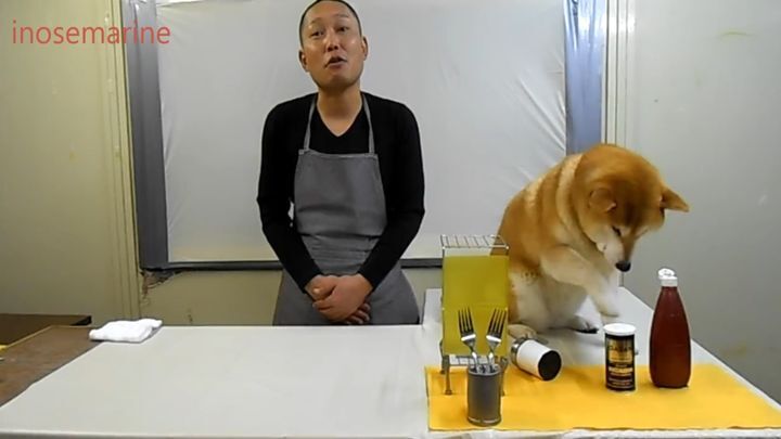  Собака - плохой помощник повара