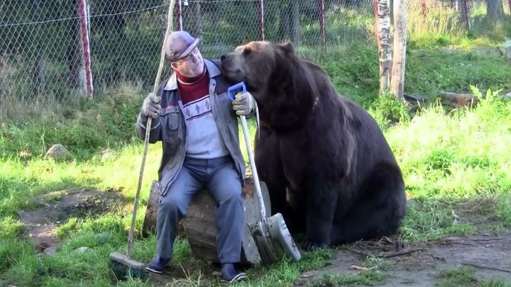Настоящая идилия человека и медведей