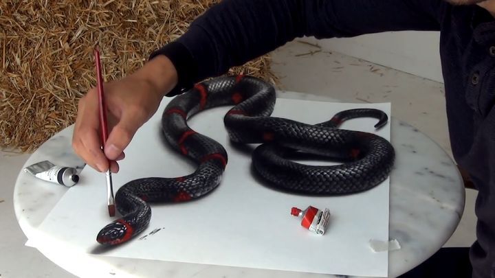 Мастер 3D живописи "оживил" змею на листе бумаги