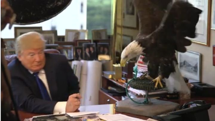  Орел напал на Дональда Трампа