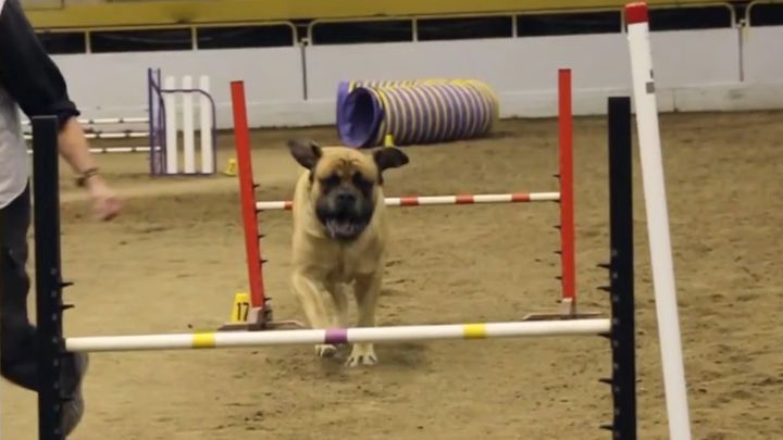 Настоящий чемпион! И не важно, что в личном зачёте!