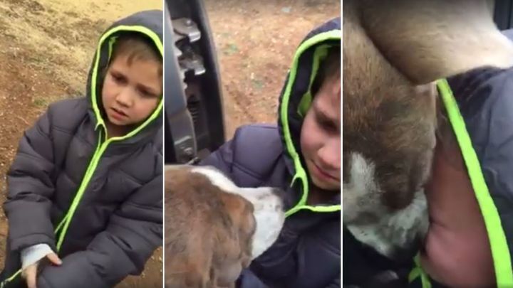  Маленький мальчик не может сдержать слез во время трогательного воссоединения со своей пропавшей собакой 