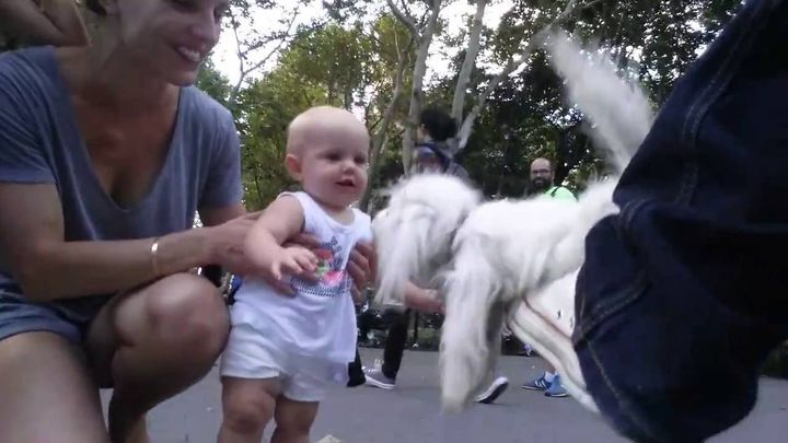 Кукловод прогулялся по парку с невероятно живой плюшевой собакой
