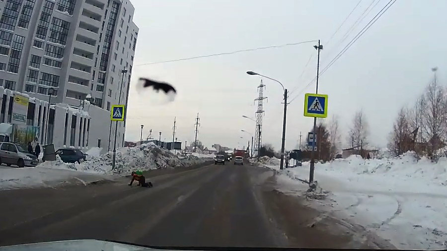 Грузовик сбил ребенка на "зебре" в Томске