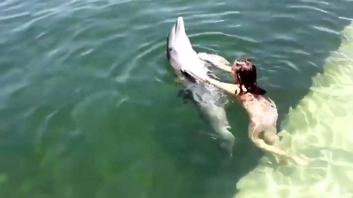  Как человек, только лучше: дельфин плавает с девочкой