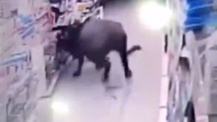 В Китае обезумевший буйвол разгромил супермаркет и  ранил шестерых посетителей