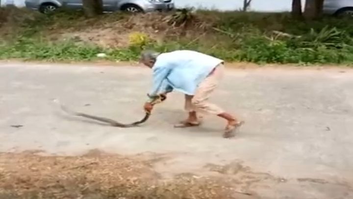 Тайская  бабушка разобралась со змеей, которая заползла в её дом