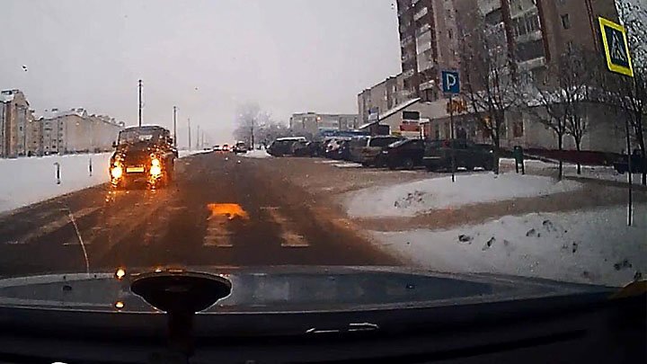 Умный рыжий кот переходит дорогу по "зебре" в Беларуси