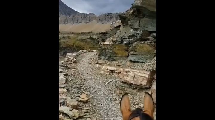 Опасная прогулка на осле в горах 