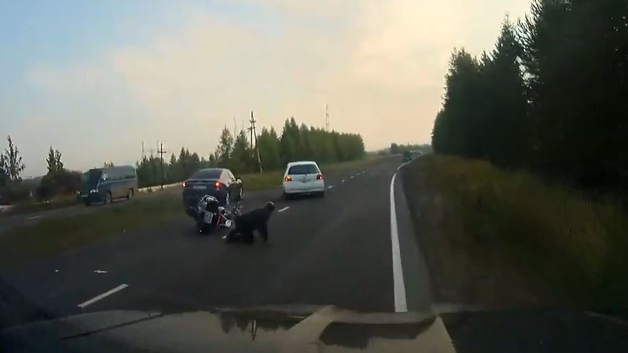 Падение неумелого мотоциклиста в Иркутской области