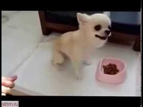 Вот так выдержка