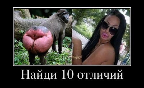 как они едят с такими губами
