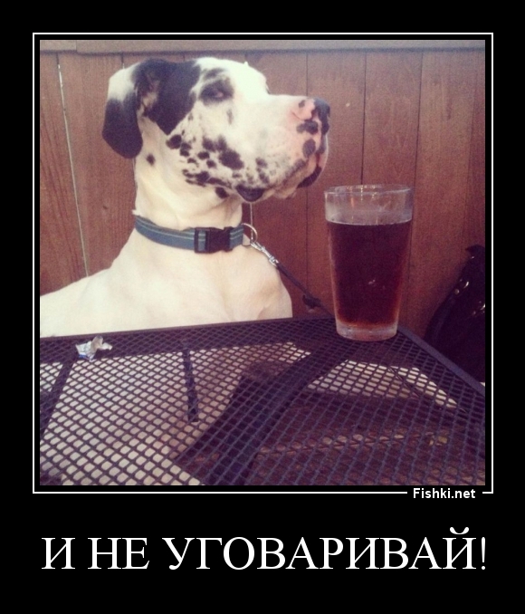 И не уговаривай!