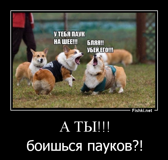 А ТЫ!!!
