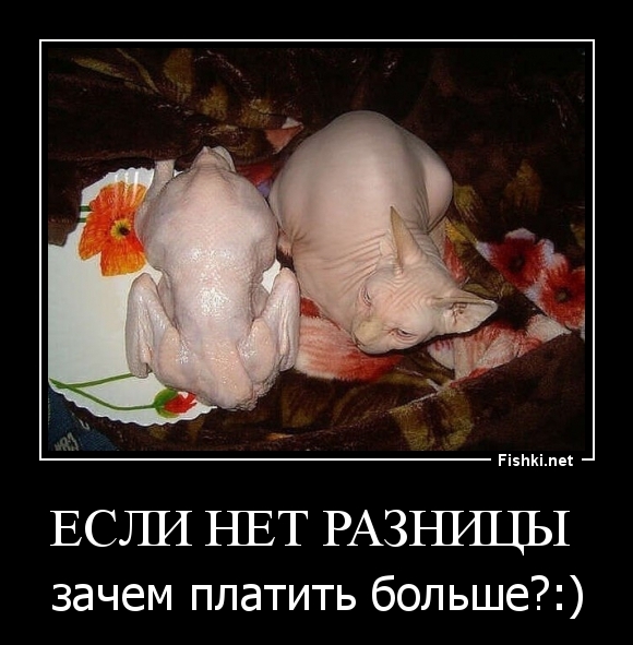 Если нет разницы 