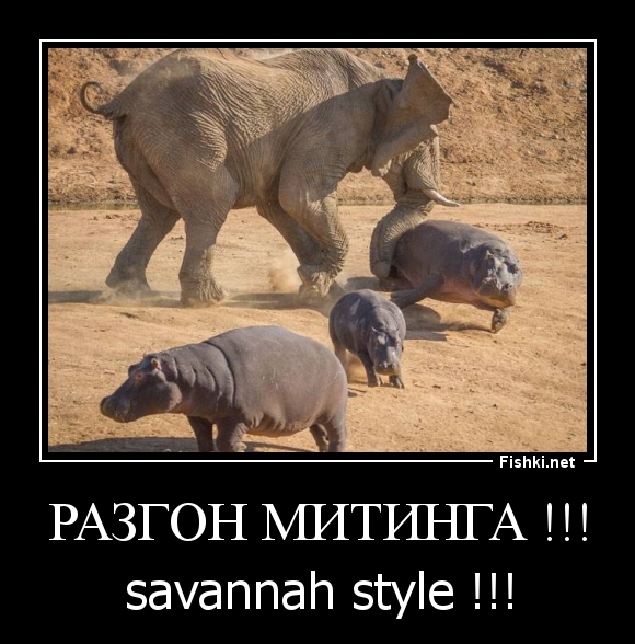 РАЗГОН МИТИНГА !!!