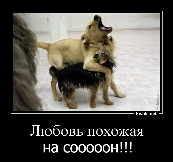 Любовь похожая