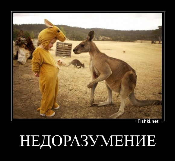 недоразумение