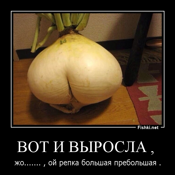 ВОТ И ВЫРОСЛА , 
