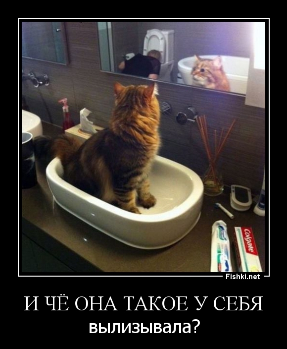 И ЧЁ ОНА ТАКОЕ У СЕБЯ