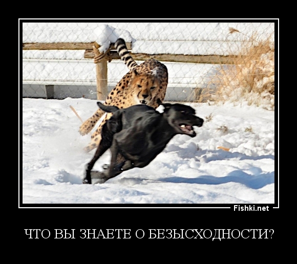 что вы знаете о безысходности?