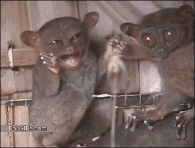 А-а-а, какой кошмар!