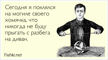 Сегодня я поклялся  на могиле своего  хомячка, что  никогда не буду  прыгать с разбега  на диван.