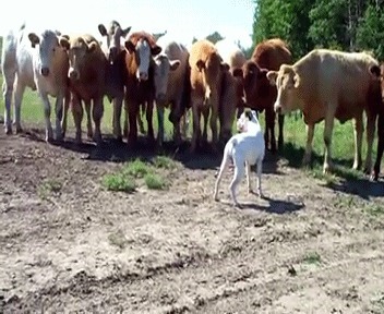 Сильный духом