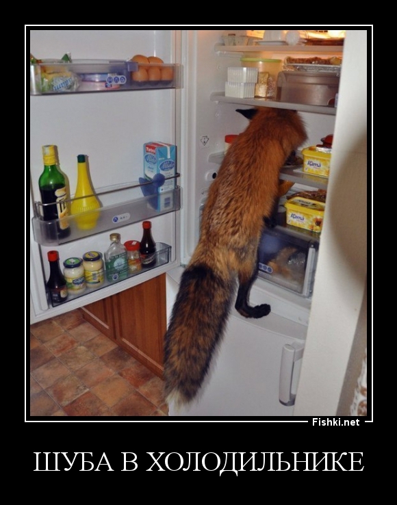 шуба в холодильнике