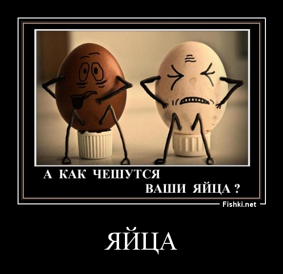 ЯЙЦА