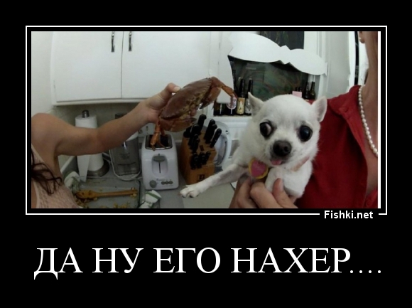 Да ну его нахер....