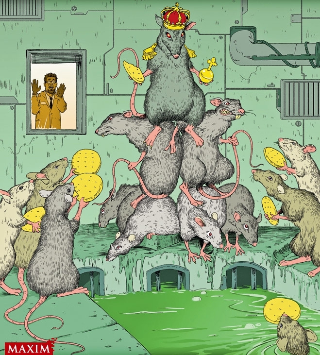 10 самых беспощадных экспериментов над крысами