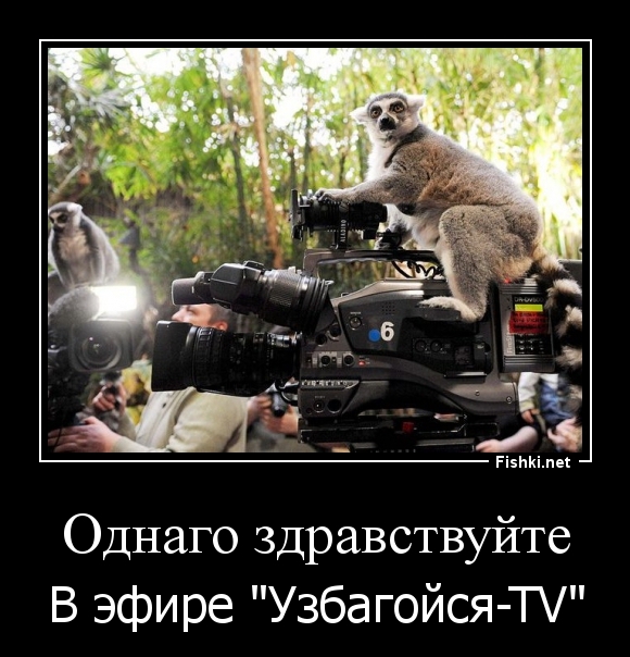 Однаго здравствуйте