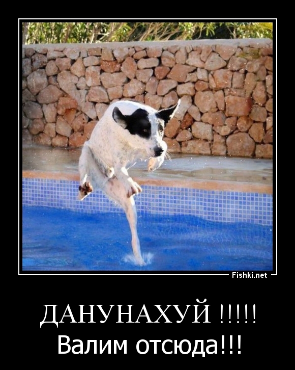 данунахуй !!!!!