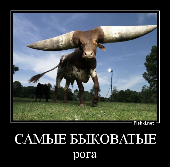 САМЫЕ БЫКОВАТЫЕ