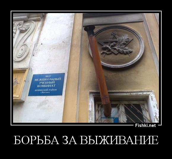Борьба за выживание