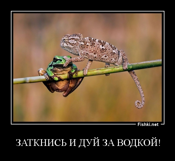 Заткнись и дуй за водкой!