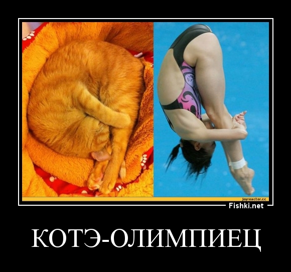 Котэ-олимпиец